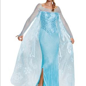 Deluxe Adult Elsa prestige costume and wig!